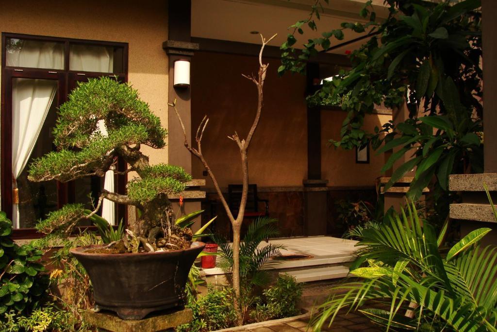 Doubleyou Homestay Pemuteran מראה חיצוני תמונה